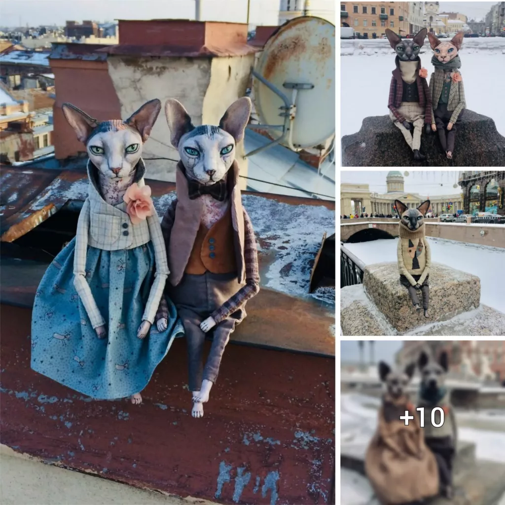 Crafting Realistic Animal Dolls: Moscow’s Artistic Genius Gives Sphynx Cats and Dogs a New Life