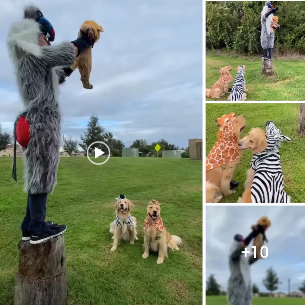 Pooches Take Part in a Fun Recreation of “The Lion King” with Their Dad and Little Sis