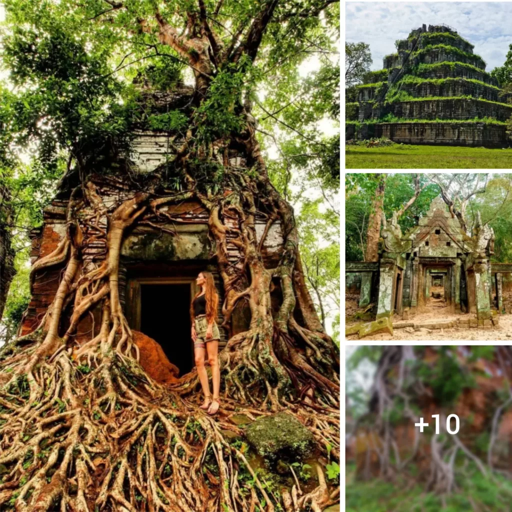 Discovering Cambodia’s Secret Jewel: The Enchanted Pyramid Concealed by Tree Roots