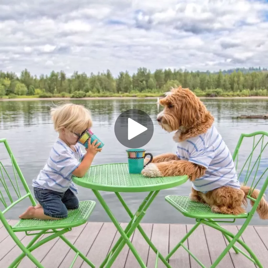 The Heartfelt Moment: When a Baby and Dog Embrace for the First Time
