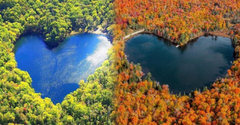 Embracing the Charm of Heart-Shaped Lakes amidst Lush Forests: A Symphony of Nature’s Beauty