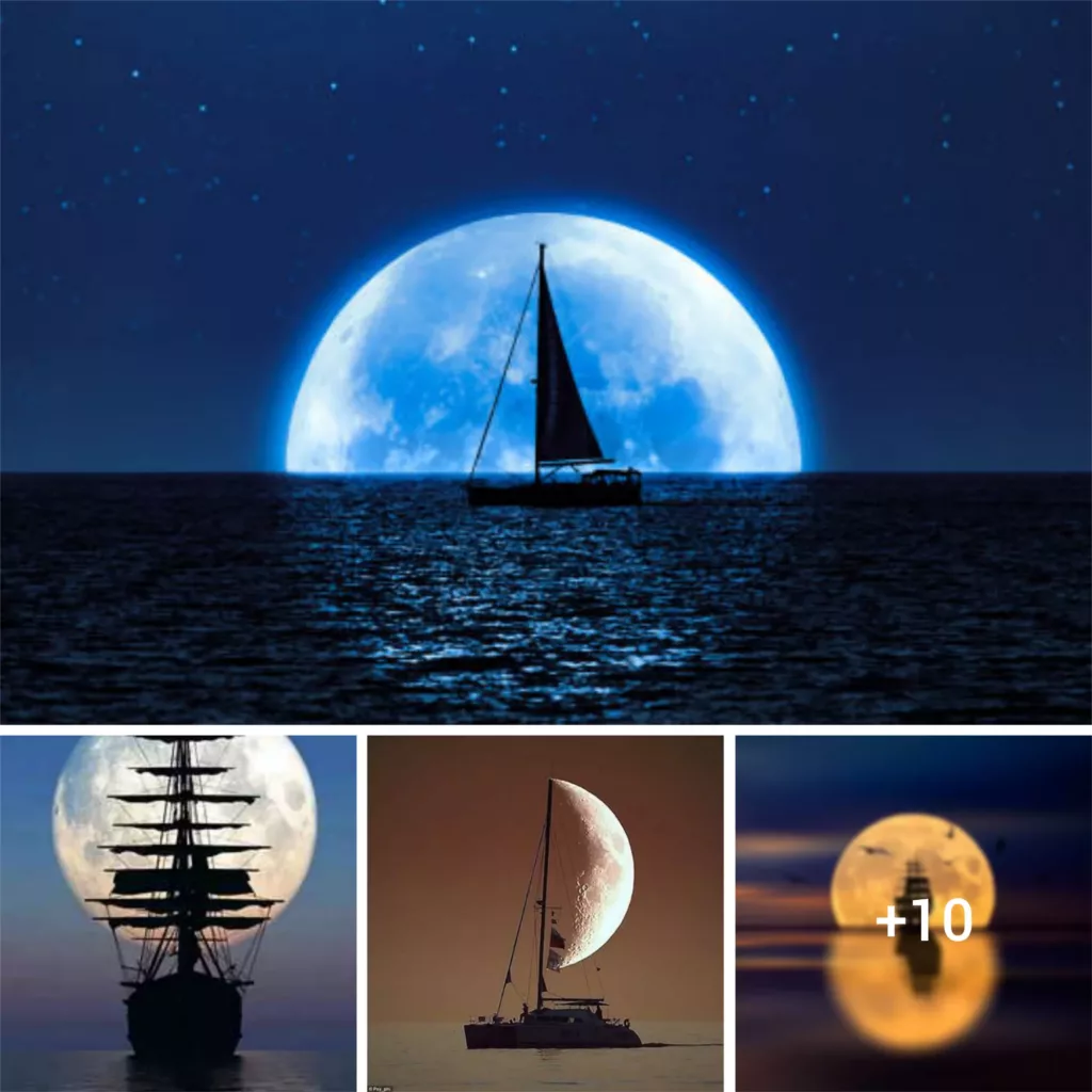 The Mesmerizing Harmony of a Sailboat and Moon in Nature’s Canvas.